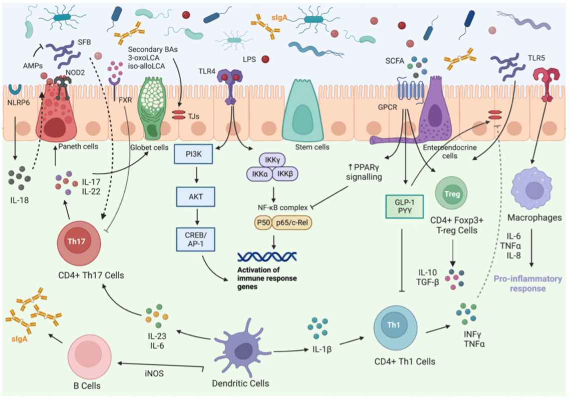 L’energia estable: com aconseguir-la i per què ho canviaria tot